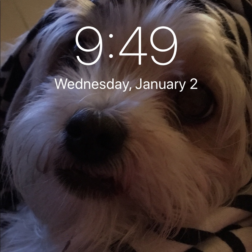 Meet your Posher, Marcia